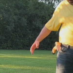 Belt Magnet